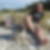 Profilbild von Ralf Wittig