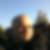 Profilbild von Steffen Gawer
