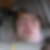 Profilbild von Josef Hans