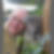 Profilbild von Dirk Wessel