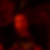 Profilbild von Stefan Drusche