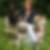 Profilbild von Nicole Perfeller