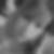 Profilbild von Anita Hambrock