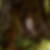 Profilbild von Anna Frank