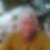 Profilbild von Wolfgang Legel