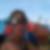 Profilbild von Nicole Belchhaus