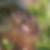 Profilbild von Andrea Jachmann