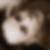 Profilbild von Tino Sielaff