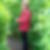 Profilbild von Martina Radtke
