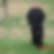 Profilbild von Mike Dolata