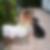 Profilbild von Daniela Books
