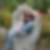 Profilbild von Saskia Vent