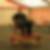 Profilbild von Bepler Marcel