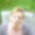 Profilbild von Stefanie Braudorn