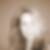 Profilbild von Diana Vorpahl