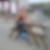 Profilbild von Elke Borchard
