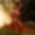 Profilbild von Fanny Schreiber