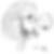 Profilbild von Lothar Berthold