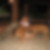 Profilbild von Dan Griebenow