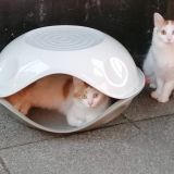 Profilfoto Petra Dresmann Profilfoto von Petra Dresmann