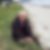 Profilbild von Gerhard Sielhorst
