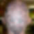 Profilbild von Marco Hudetz