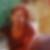Profilbild von Martina Wirges