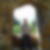 Profilbild von Roman Wenzel