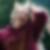 Profilbild von Katrin Beck