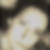 Profilbild von Tanja Schneider