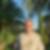 Profilbild von Ronald Walshe