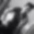 Profilbild von Leon Kisky