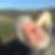 Profilbild von Peter Hoppe