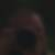 Profilbild von Peter Birnbach