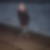 Profilbild von Martina Wiggers