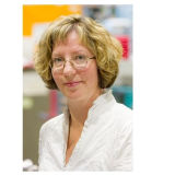 Profilfoto von Susan Schorr
