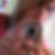 Profilbild von Eileen Schneider