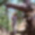 Profilbild von Joachim Oppold