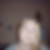Profilbild von Nicole Giesen