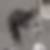 Profilbild von Swenja Di Caro
