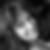 Profilbild von Gaby Ehrich