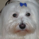 Profilfoto von Sabine Röhrig