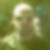 Profilbild von Wilken Schade
