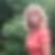 Profilbild von Martina Tschab