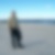 Profilbild von Joachim Werk