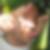 Profilbild von Carsten Buch
