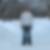 Profilbild von Mike Gross
