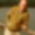 Profilbild von Frank Wegert
