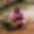 Profilbild von Claudia Paland