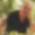 Profilbild von Gerhard Nitsche